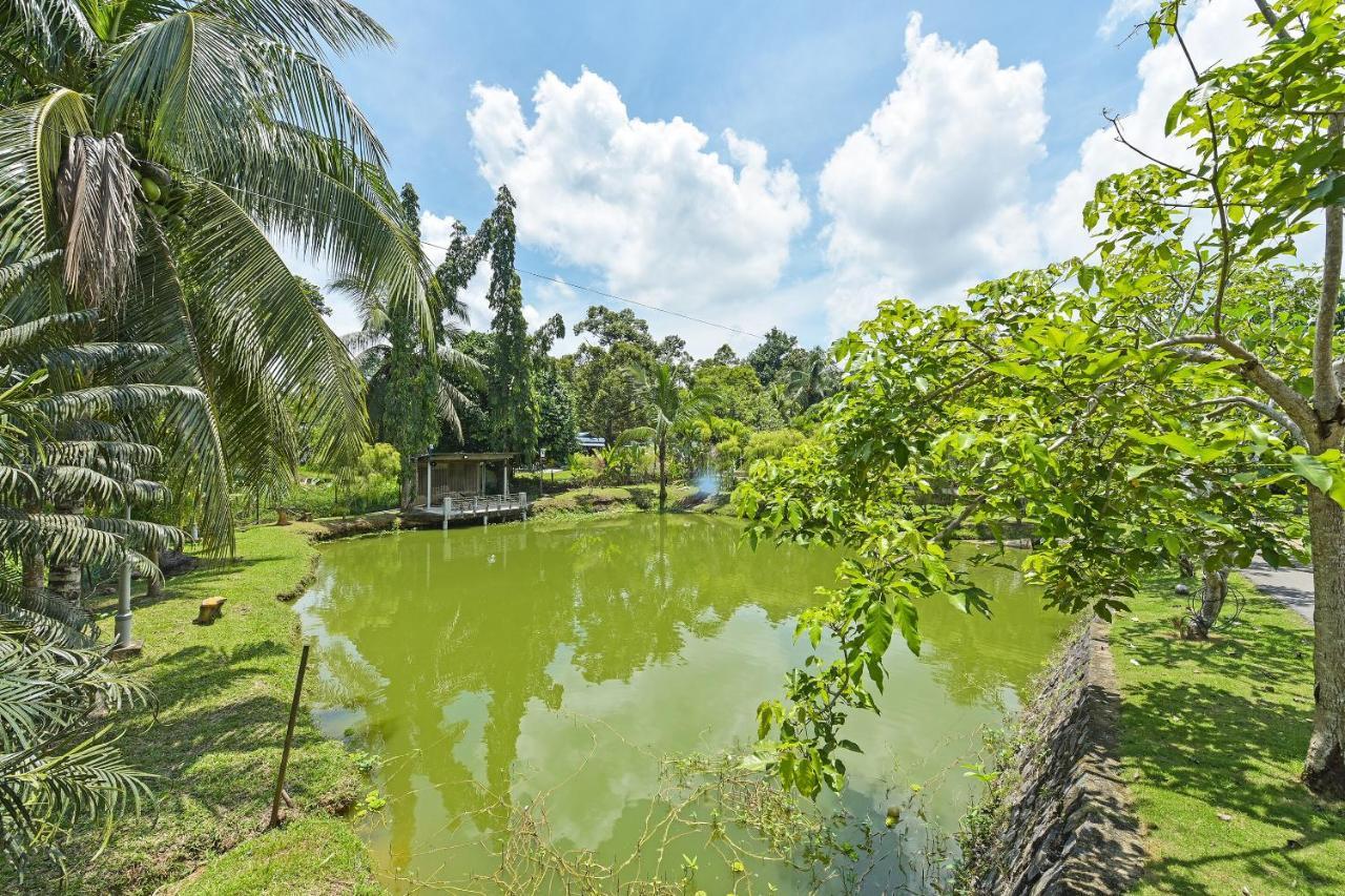 Oyo 90636 Teratak Zakiah Chalet Jerantut Ngoại thất bức ảnh
