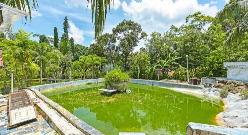 Oyo 90636 Teratak Zakiah Chalet Jerantut Ngoại thất bức ảnh