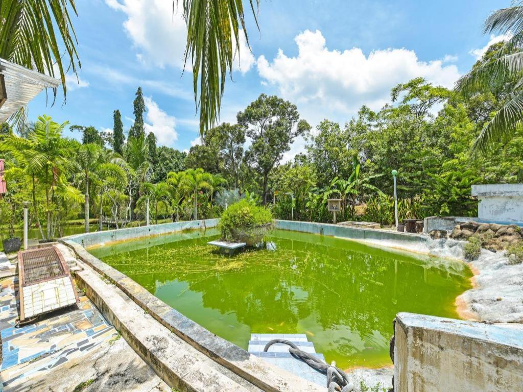 Oyo 90636 Teratak Zakiah Chalet Jerantut Ngoại thất bức ảnh